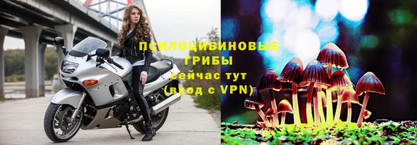 дмт Алексеевка