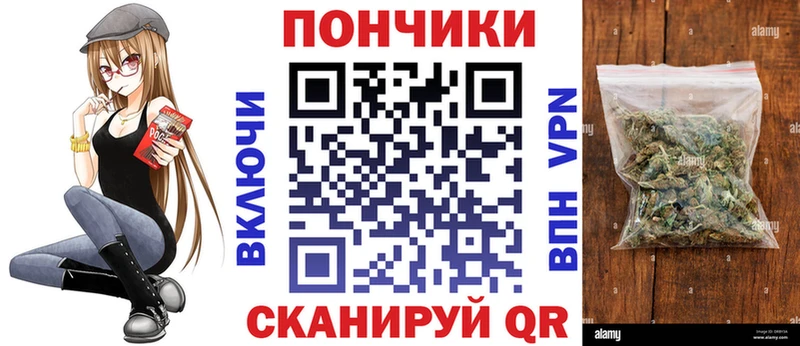 Бошки марихуана сатива Кондопога
