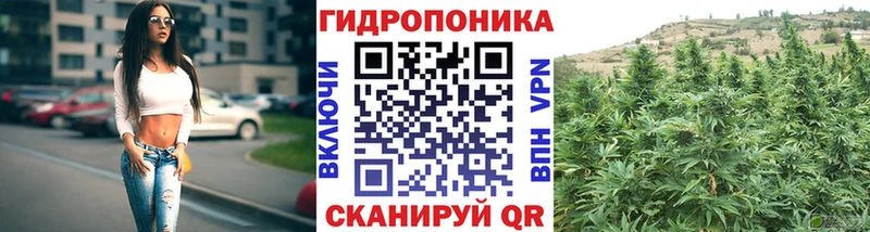 Бошки Шишки сатива  Кондопога 